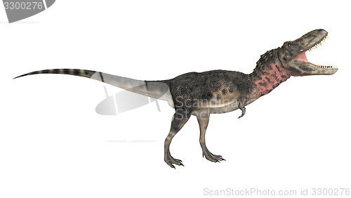 Image of Dinosaur Tarbosaurus