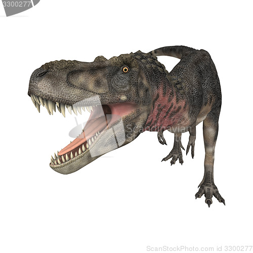 Image of Dinosaur Tarbosaurus