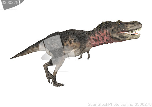 Image of Dinosaur Tarbosaurus