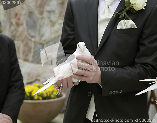 Image of Groom with dove in hand