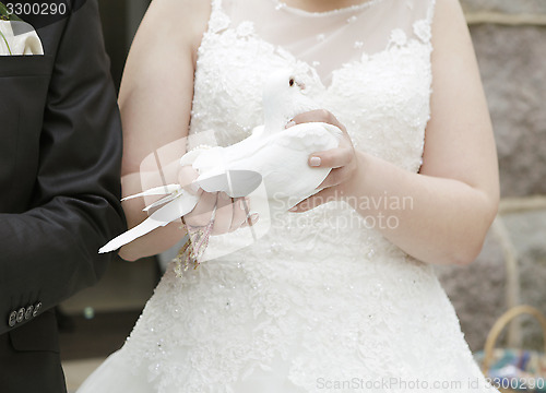 Image of Bride with dove in hand