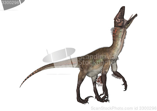 Image of Dinosaur Utahraptor