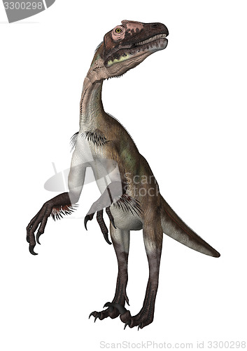 Image of Dinosaur Utahraptor