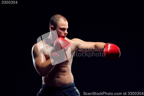 Image of Young Boxer boxing 