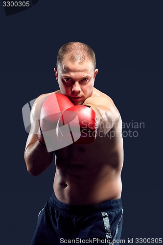 Image of Young Boxer boxing 