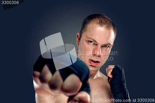 Image of Young Boxer boxing 