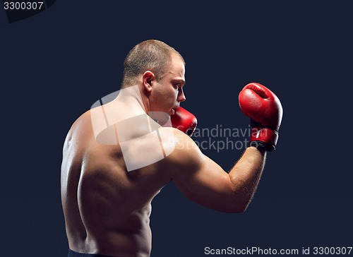 Image of Young Boxer boxing 