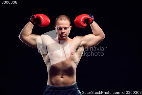 Image of Muscular man - young caucasian boxer