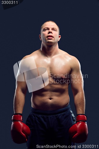 Image of Muscular man - young caucasian boxer