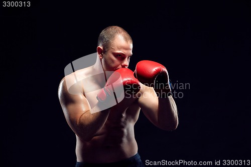 Image of Young Boxer boxing 