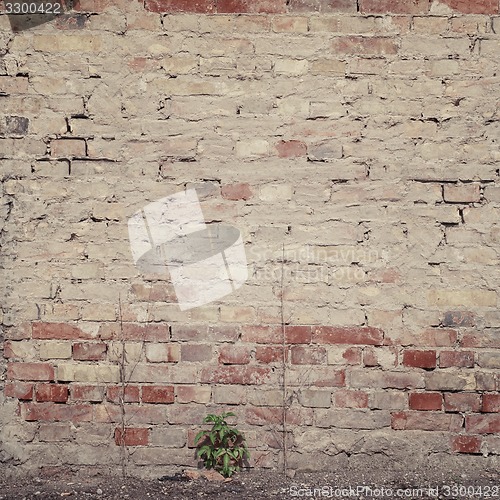 Image of old grunge brick wall 