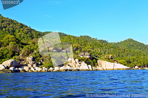 Image of house  in thailand kho tao bay abstract of a  water   south chin