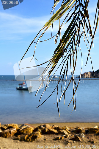 Image of asia in  kho   thailand bay      pirogue palm   