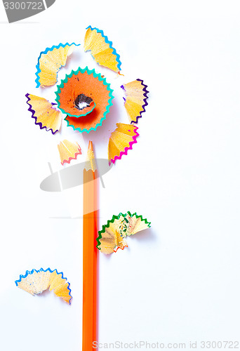 Image of colored flower pencil