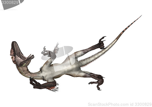 Image of Dinosaur Utahraptor