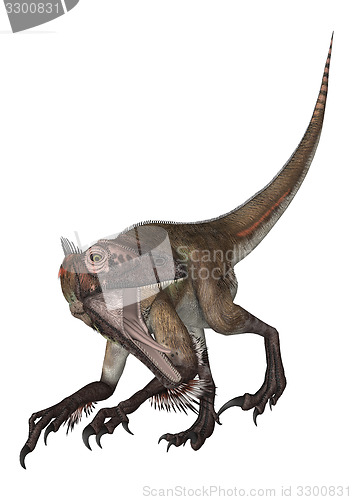 Image of Dinosaur Utahraptor