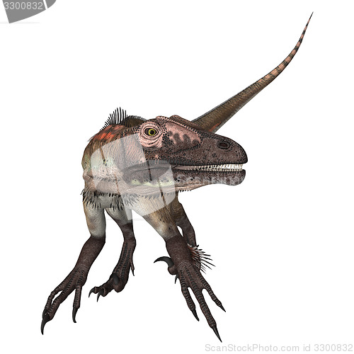 Image of Dinosaur Utahraptor