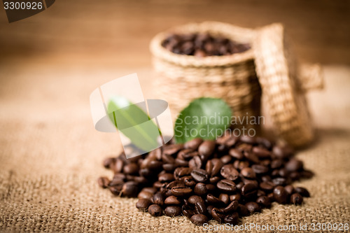 Image of pile of fresh beans and green leaves and spoon in jar