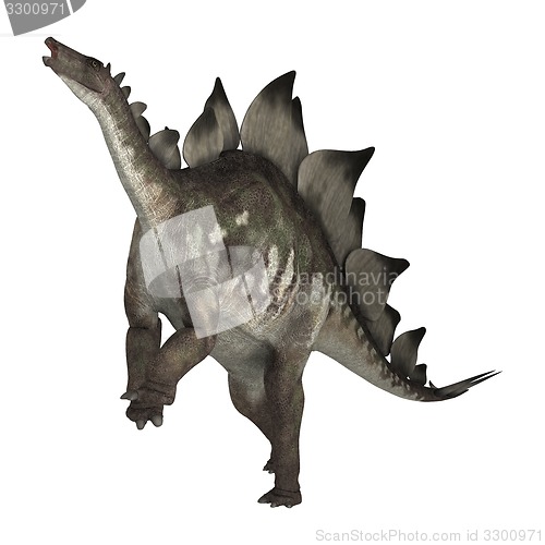 Image of Dinosaur Stegosaurus