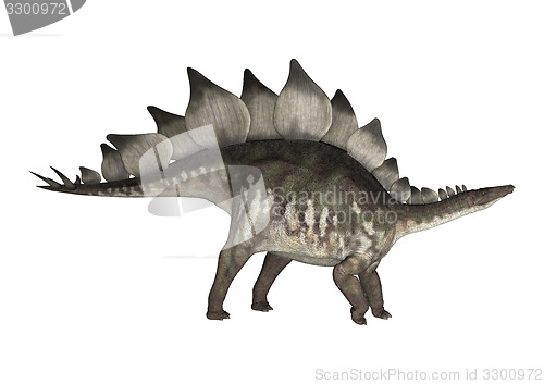 Image of Dinosaur Stegosaurus