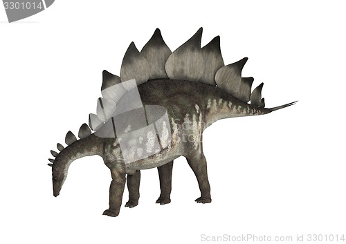 Image of Dinosaur Stegosaurus