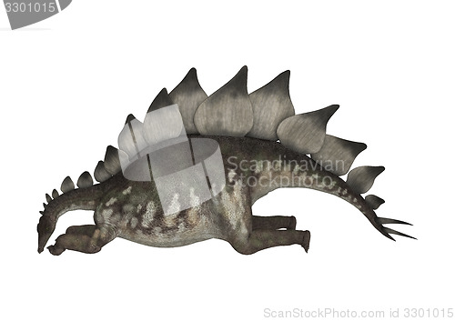 Image of Dinosaur Stegosaurus