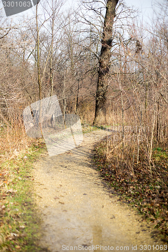Image of Walking in a park