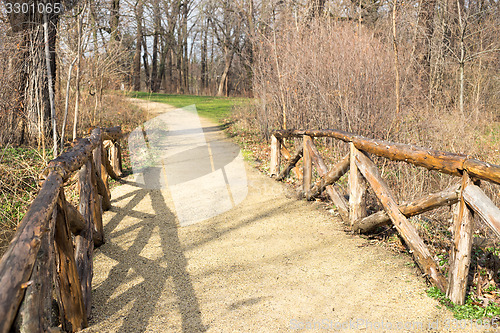Image of Walking in a park