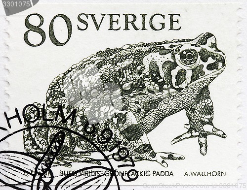 Image of Toad Stamp