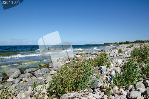 Image of Stony bay with green reeds