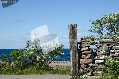 Image of Weathered wooden pole