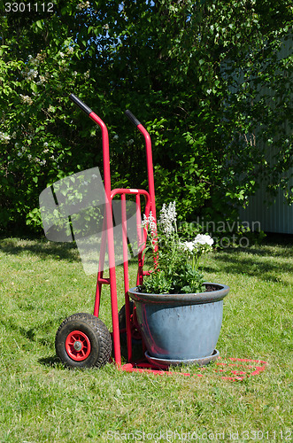 Image of Cart with a big flowerpot