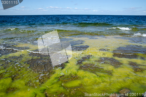 Image of Colorful flat rock coast