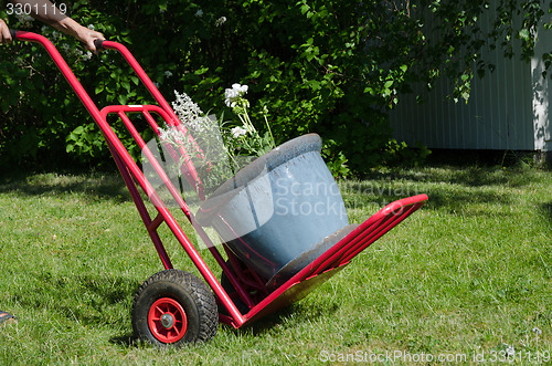 Image of Flowerpot on a cart