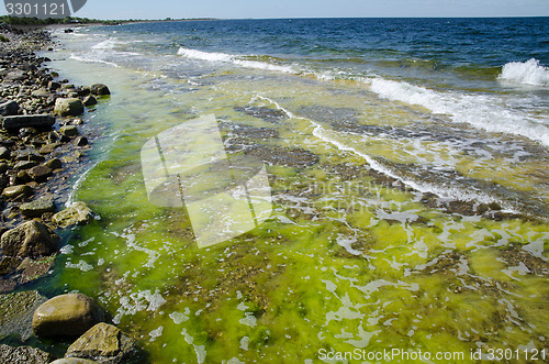 Image of Colors at the flat rock coast