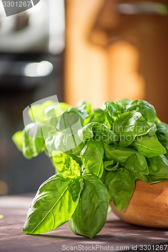 Image of Fresh organic basil