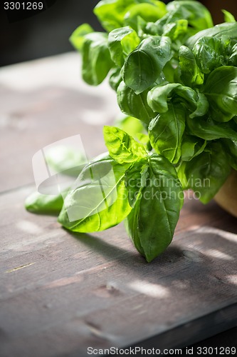 Image of Fresh organic basil