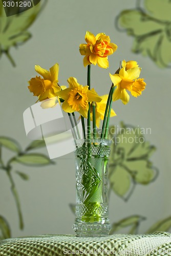 Image of Yellow daffodils.