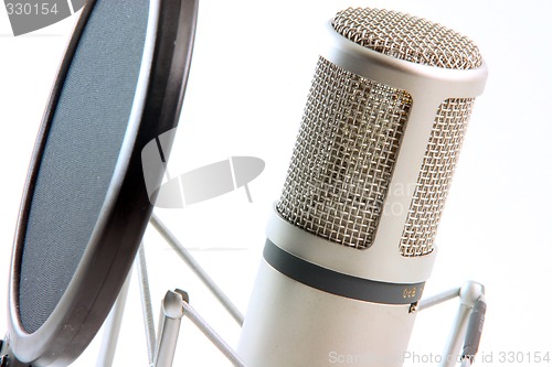 Image of microphone filter horizontal