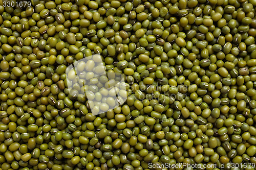 Image of Dried green mung beans background