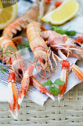 Image of Langoustines