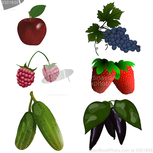 Image of Set of color fruit and vegetables