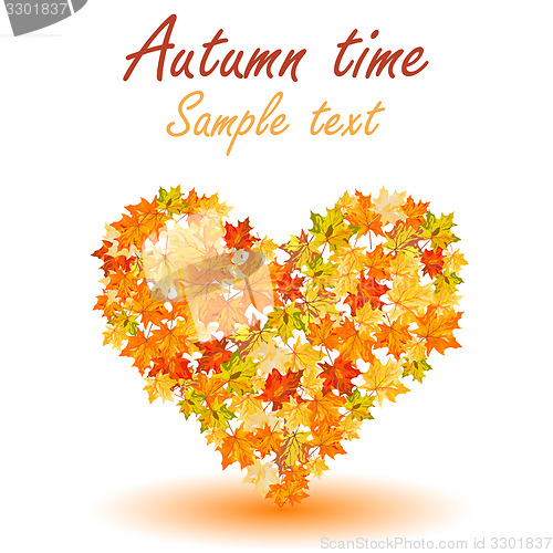 Image of Autumn maple leaves 