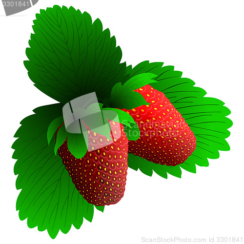 Image of Two fresh strawberry