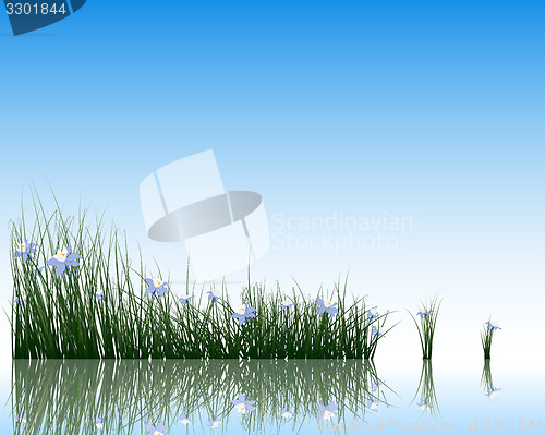 Image of Flower with grass on water surface 