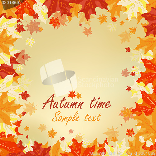 Image of Autumn maple leaves 