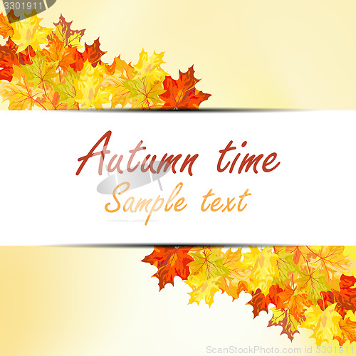 Image of Autumn maple leaves 