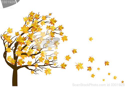 Image of Autumn maple leaves background