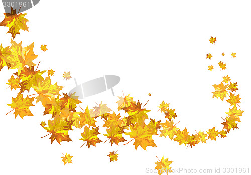 Image of Autumn maple leaves background