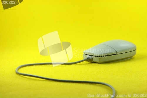 Image of mouse run